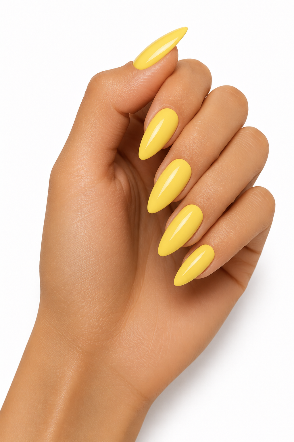 Daisy yellow