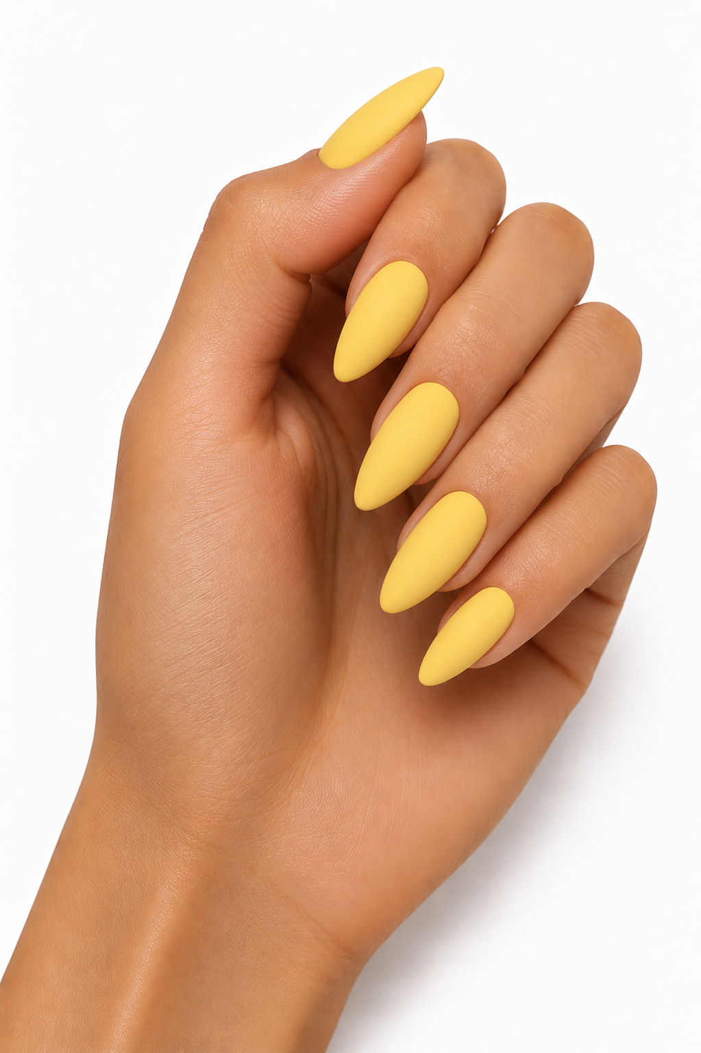 Daisy yellow